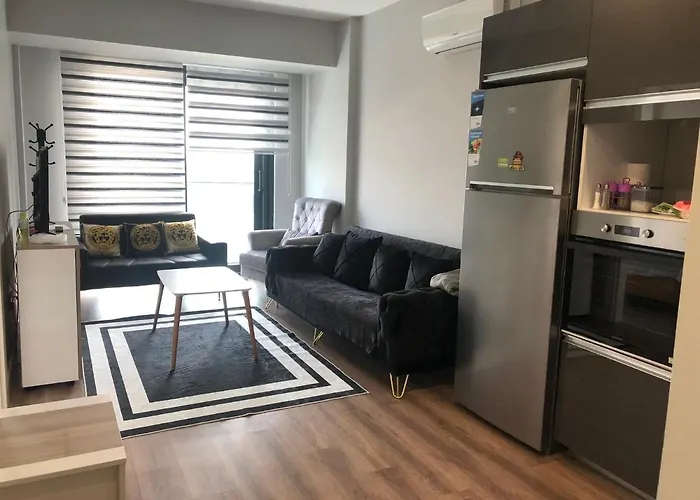 Nilin 伊斯坦布尔