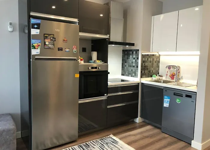 Nilin 公寓 伊斯坦布尔