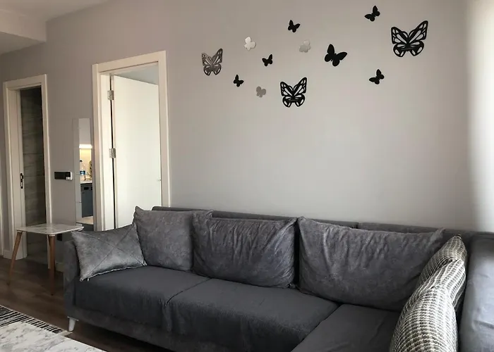 Nilin 伊斯坦布尔